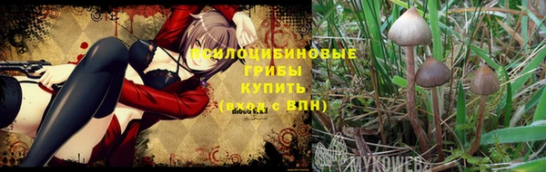 твердый Белокуриха