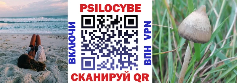 Псилоцибиновые грибы Psilocybine cubensis  Хвалынск 